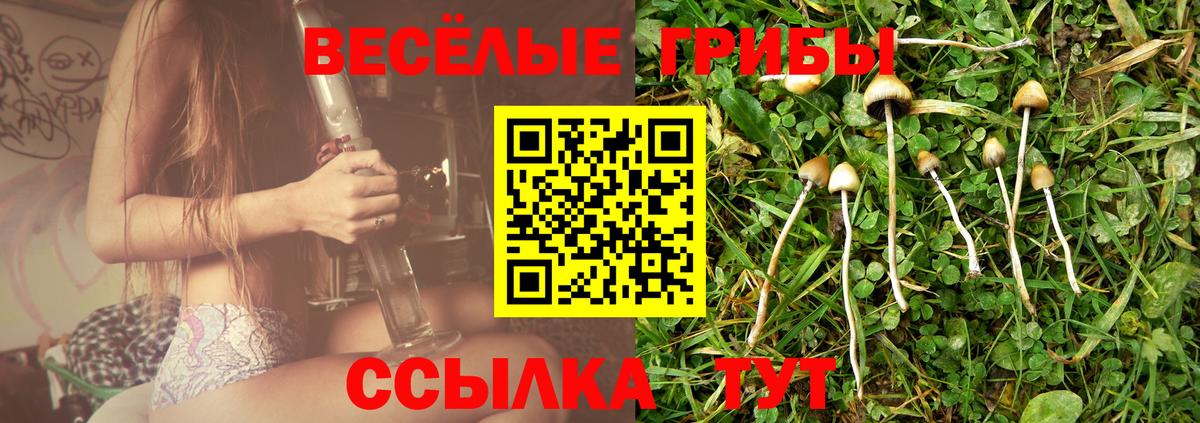 Галлюциногенные грибы прущие грибы Старая Русса