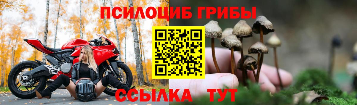 Галлюциногенные грибы ЛСД  Псилоцибиновые грибы Psilocybine cubensis  Вход с VPN  Старая Русса 